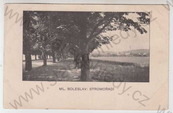  - Mladá Boleslav, stromořadí