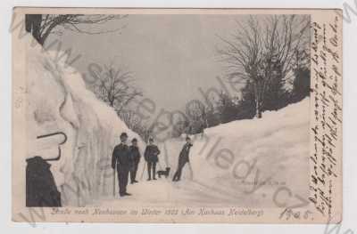  - Německo, Seiften Heidelberg, zimní, sníh, pes