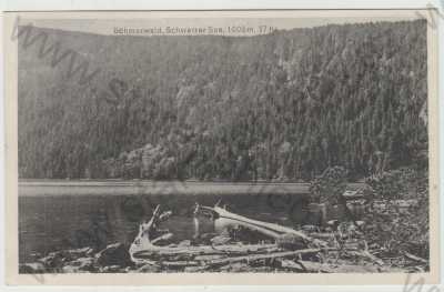  - Černé jezero (Schwarzer See), Šumava, Klatovy, částečný záběr, foto J.Seidel