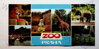  - Praha 7 - ZOO, záběry na jednotlivá zvířata - tygr, lední medvěd, slon, zebra, žirafa, plameňák, koláž, barevná, více záběrů, formát DL