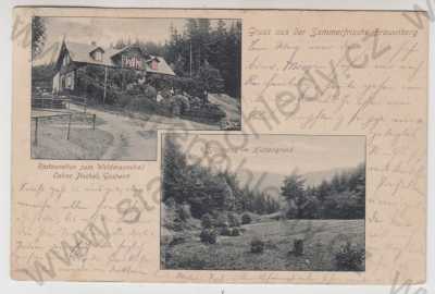  - Panenská Hůrka (Frauenberg) - Liberec, více záběrů, restaurace, krajina