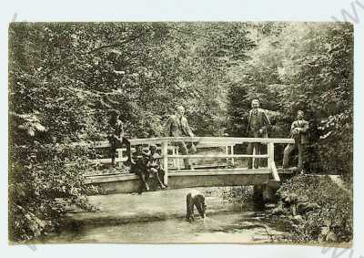  - Slovensko - Turčianské Teplice - park, dřevěný most