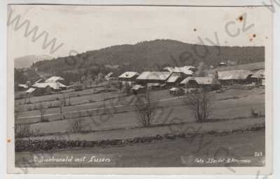  - Bučina (Buchwald) - Prachatice, celkový pohled, Luzný, Šumava, Foto Seidel