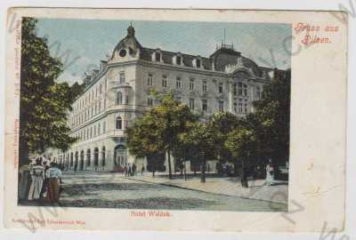  - Plzeň (Pilsen), Hotel Waldek, kolorovaná, DA