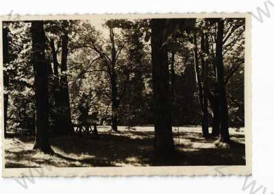  - Kroměříž, částečný záběr města, park, Fototypia-Vyškov