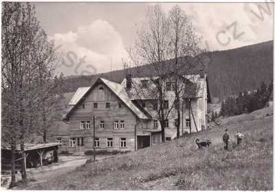  - Rokytnice nad Jizerou (Krkonoše) - chata Světlanka, pes, velký formát