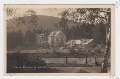  - Špičák (Klatovy), hotel Prokop, Šumava, celkový pohled