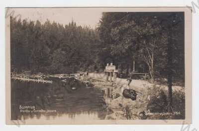  - Černé jezero (Klatovy), Šumava, partie u Černého jezera, muž, Foto-Fon Praha